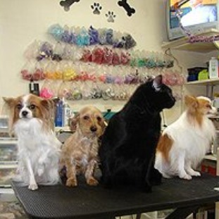 Fairborn Pet Grooming Logo